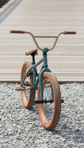 BMX Bike with Fat All-Terrain Tires